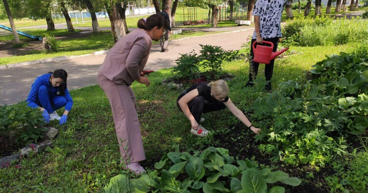 Проект по трудоустройству подростков