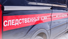 Следователи начали проверку по факту избиения несовершеннолетней в Кемерове